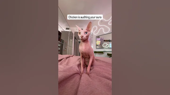 Watch the video about POV