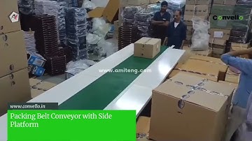 Packing Belt Conveyor System with Side Platform #beltconveyor #conveyor #conveyorsystem