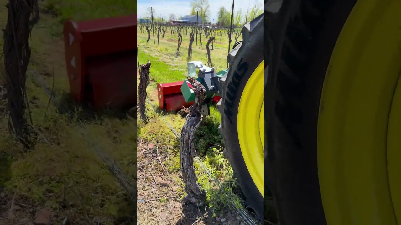 Removing Vineyard Compaction - Clemens Bison Ripper Vineyard Subsoiler