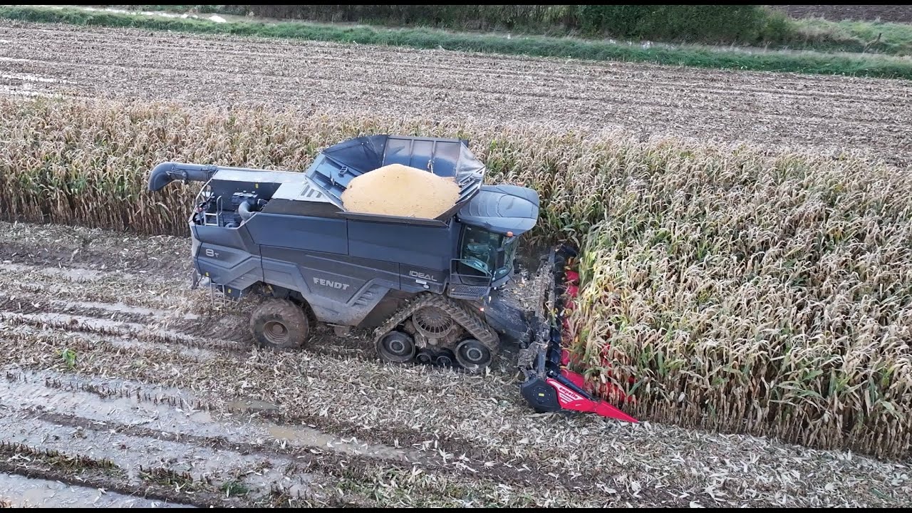 FENDT Ideal 8T Maïs Capello 8 rangs