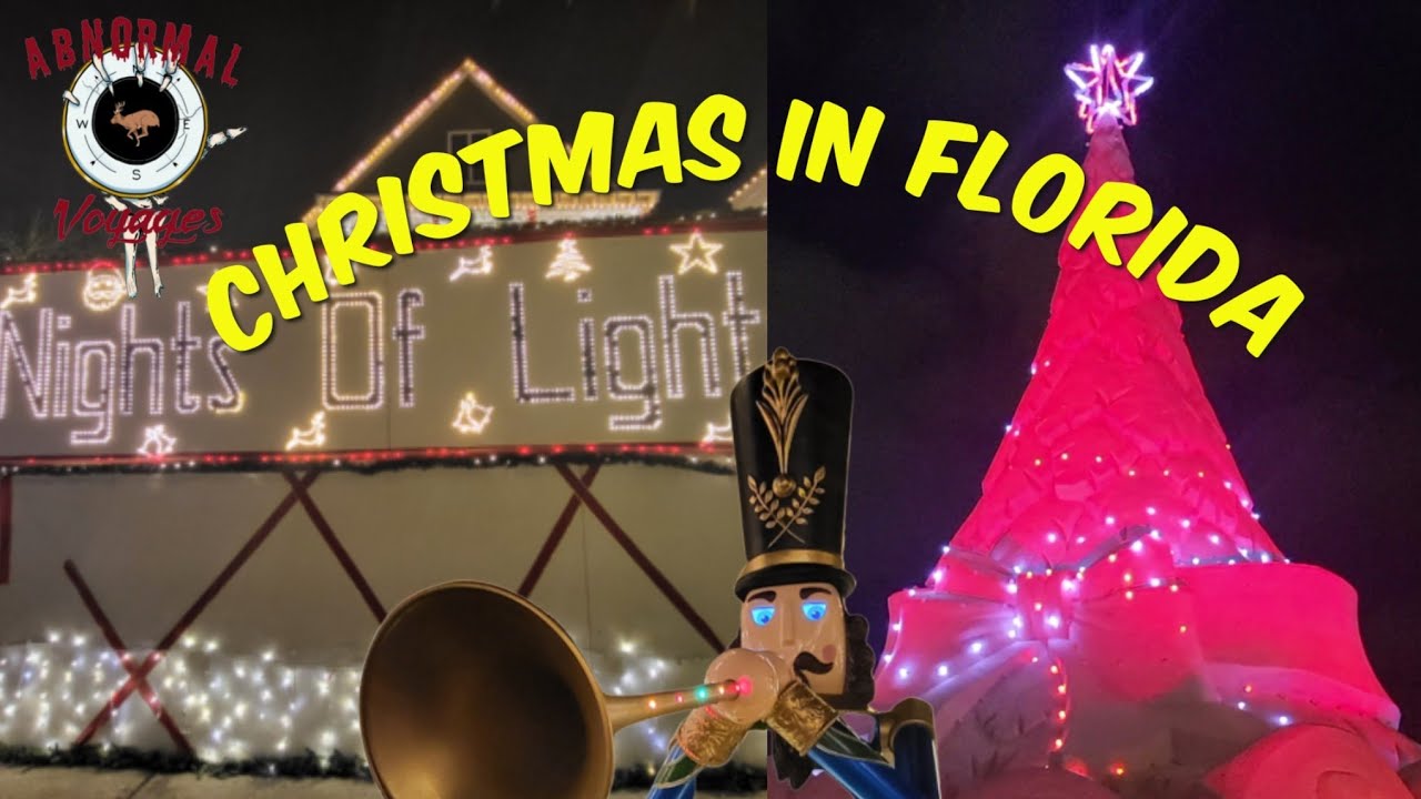 A Florida Christmas - (Sandi Land and Nights Of Lights)