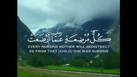ستوريات انستا دينية جديدة//اجمل حالات واتس اب دينية جديدة//القارئ: نور الدين//بدون حقوق