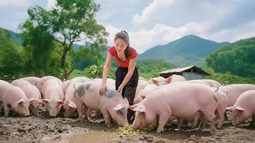 Buy 1000+ Pigs, Ducks and Chickens, Use Truck Transport to Countryside Market Sell | Farm Farm TV