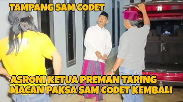 DANG RAJO & SAM CODET HAJAR PREMAN TARING MACAN UTUSAN ASRONI | dang rajo terbaru
