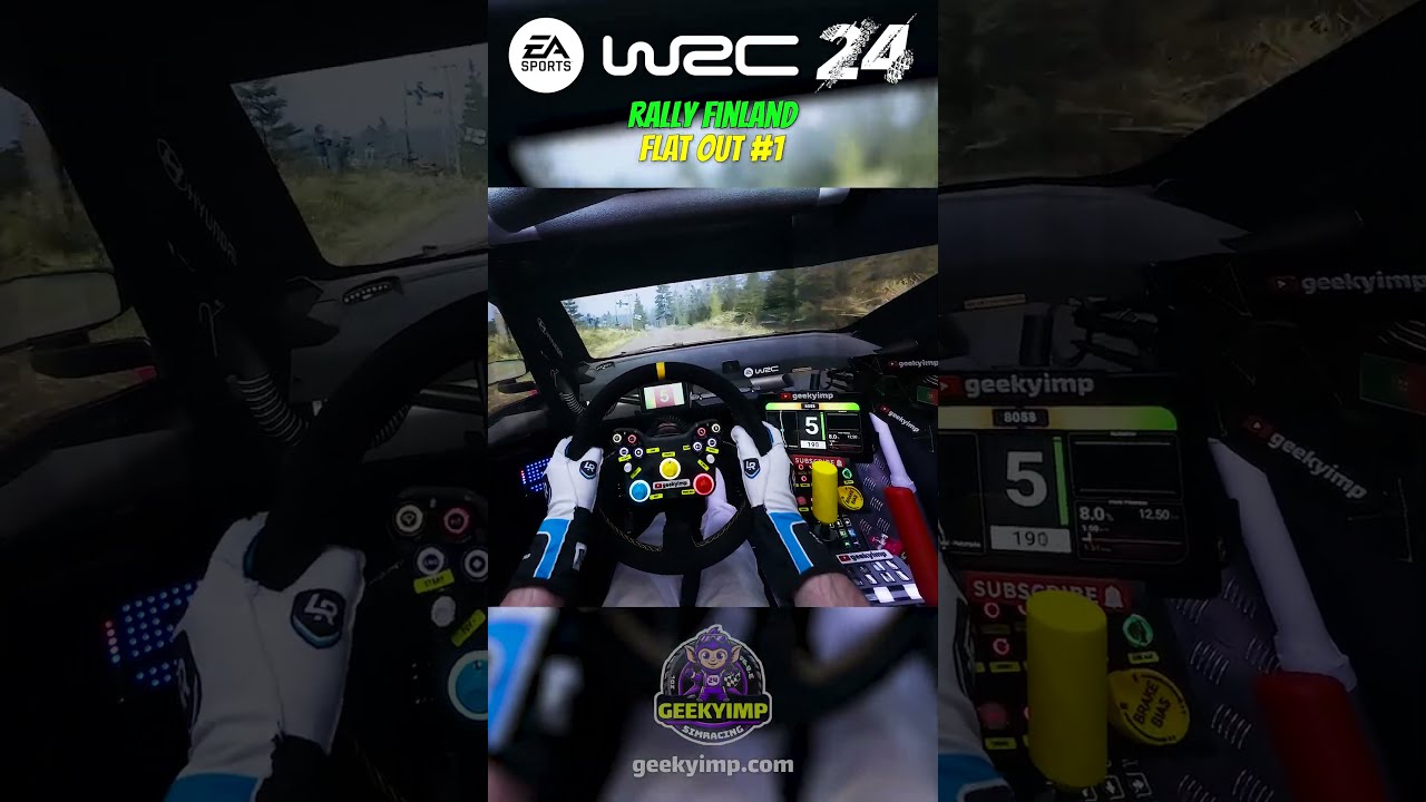 Flat Out 1 Realistic SIMRIG POV WRC Rally Finland Hatanpaa