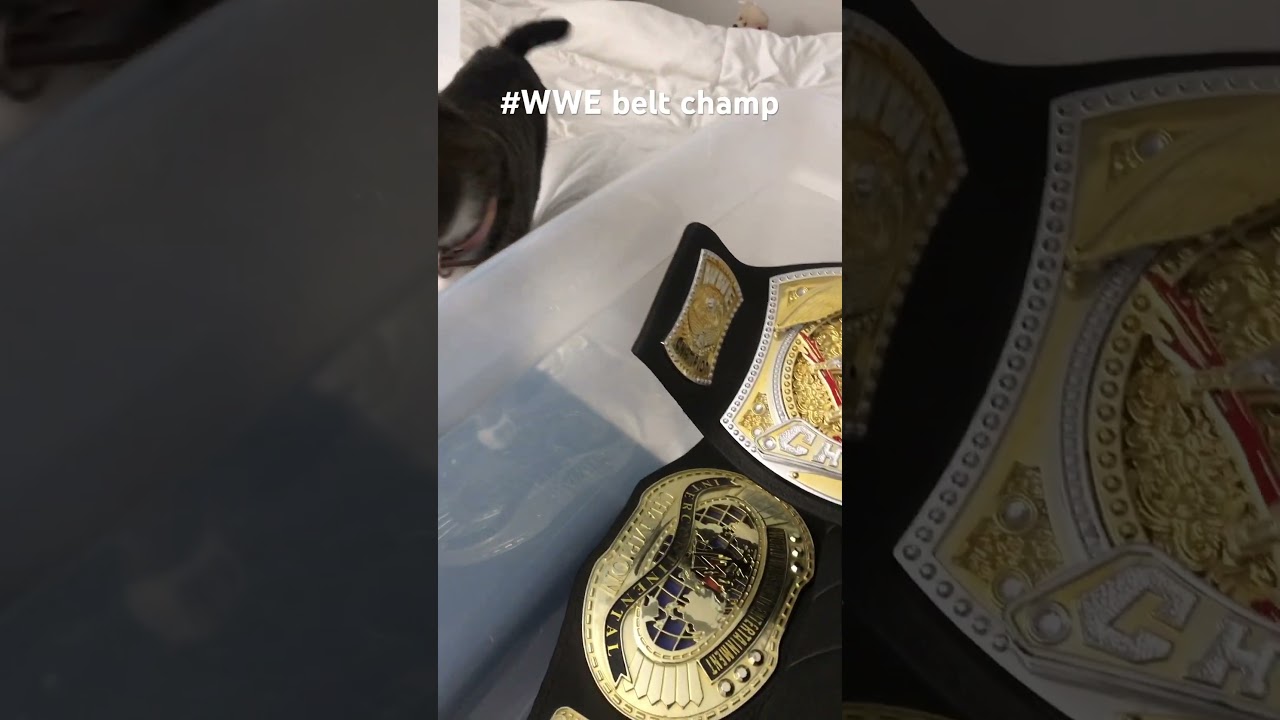 My sons’ collection 