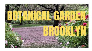 New York 2023 |Raining Day Brooklyn Botanical Garden stroll ,Brooklyn,April 29,3:38PM