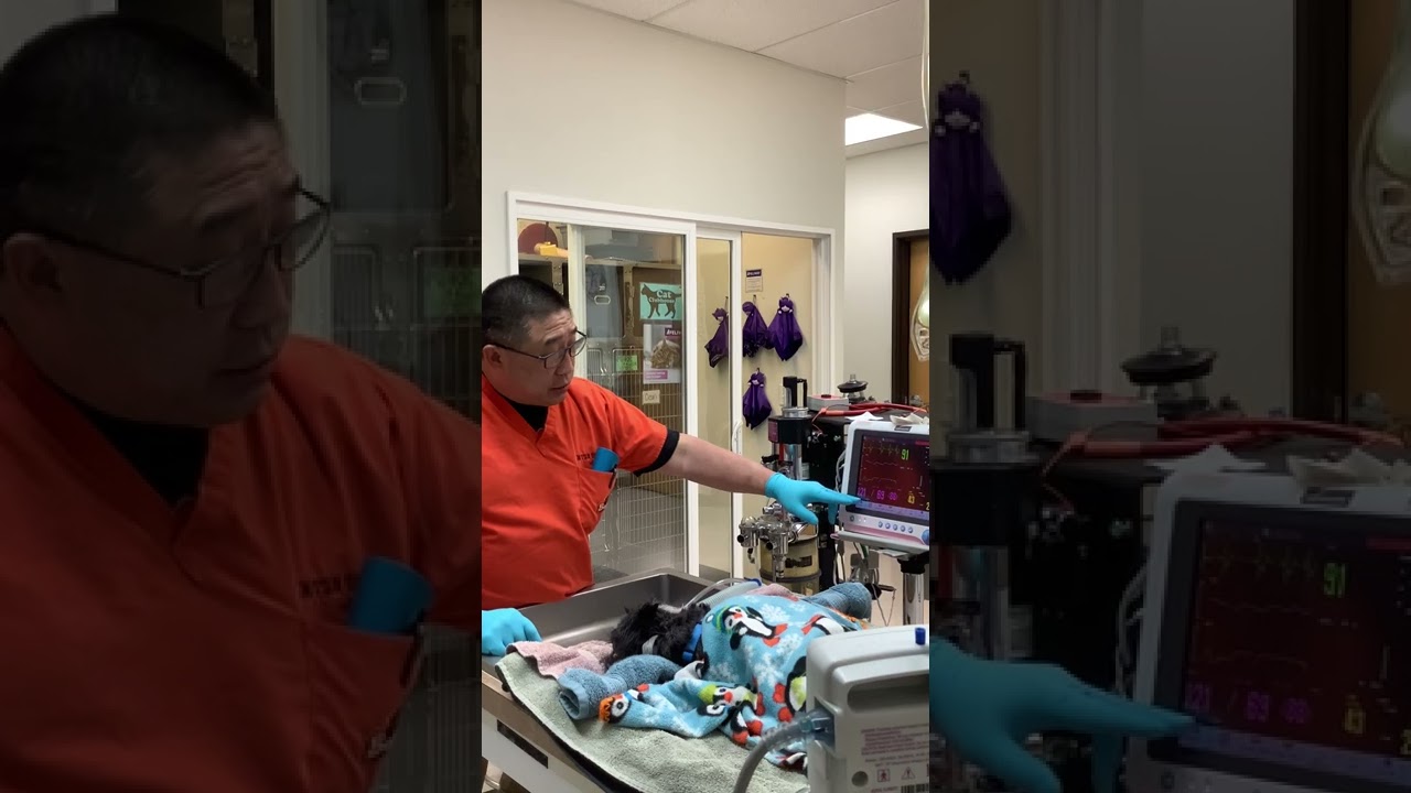 Monitoring Equipment for a Dental Surgery