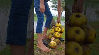 Eating Fresh Palm Fruit Straight from the Tree! 🌴☺️#shorts #ytshorts #shortvideo #plamfruit
