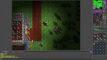 Tibia [7.3] Team goes PK until red skull