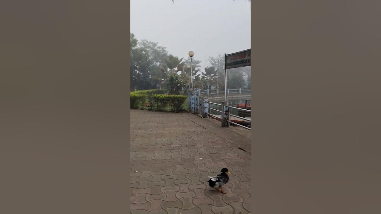 Beutifull place............ YouTube