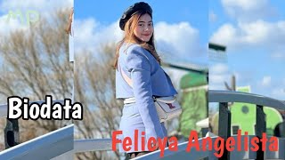 Biodata Felicya Angelista