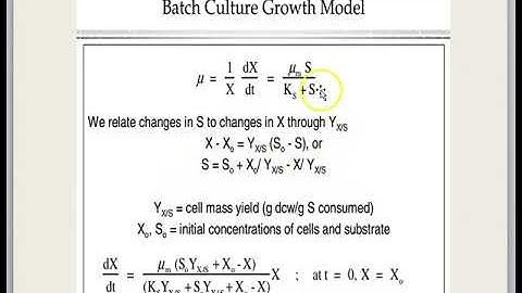 CHE505 Topic 5-Bioreactor Part 1_VIDEO LECTURE 7