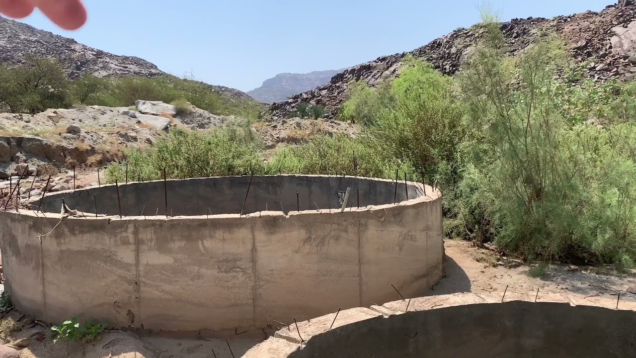 عسل القتاد إنتاج مناحلنا جنوب المملكة موسم انتاج #عسل_القتاد او #الكتاد محرم ١٤٤٣