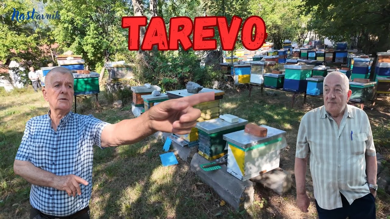 Dosad neviđeno, pčelinjak u nekropoli stećaka, Tarevo kod Kladnja