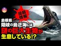 【UMA】投稿情報 隠岐の島近海には謎の巨大生物が生息している!?