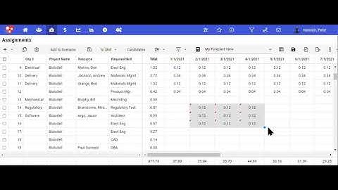 Data Grid Copy Paste in ResourceFirst