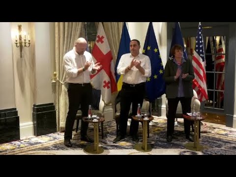 ჯაფარიძე-ვაშაძე-ხოშტარია სენატორების შეფასებებთან დაკავშირებით, ერთობლივ განცხადებას ავრცელებენ