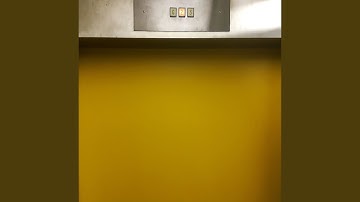 Pulsating Music for Elevator Trips