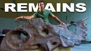 The Great Fossil Race: Uncovering Prehistoric Dinosaur Bones | Dino Hunters | Real Wild by Real Wild 221,414 views 1 month ago 2 hours, 52 minutes