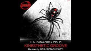 The Placenta, IMKFM 'Kinesthetic Groove' (Dj Detach Remix)