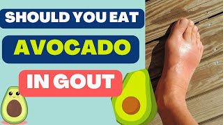 Should you eat AVOCADO in GOUT | doctorsays