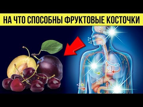 Вот на Что способны Фруктовые косточки Польза и Вред косточек на Организм человека