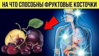 Вот На Что Способны Фруктовые Косточки Польза И Вред Косточек На Организм Человека