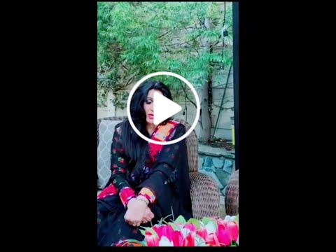    د نغمې تازه ترنم