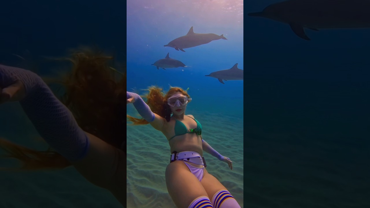Lucky girl encounters dolphins 