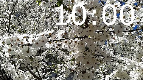 10 Minute Spring Timer with Calming Music, Blossom and Alarm