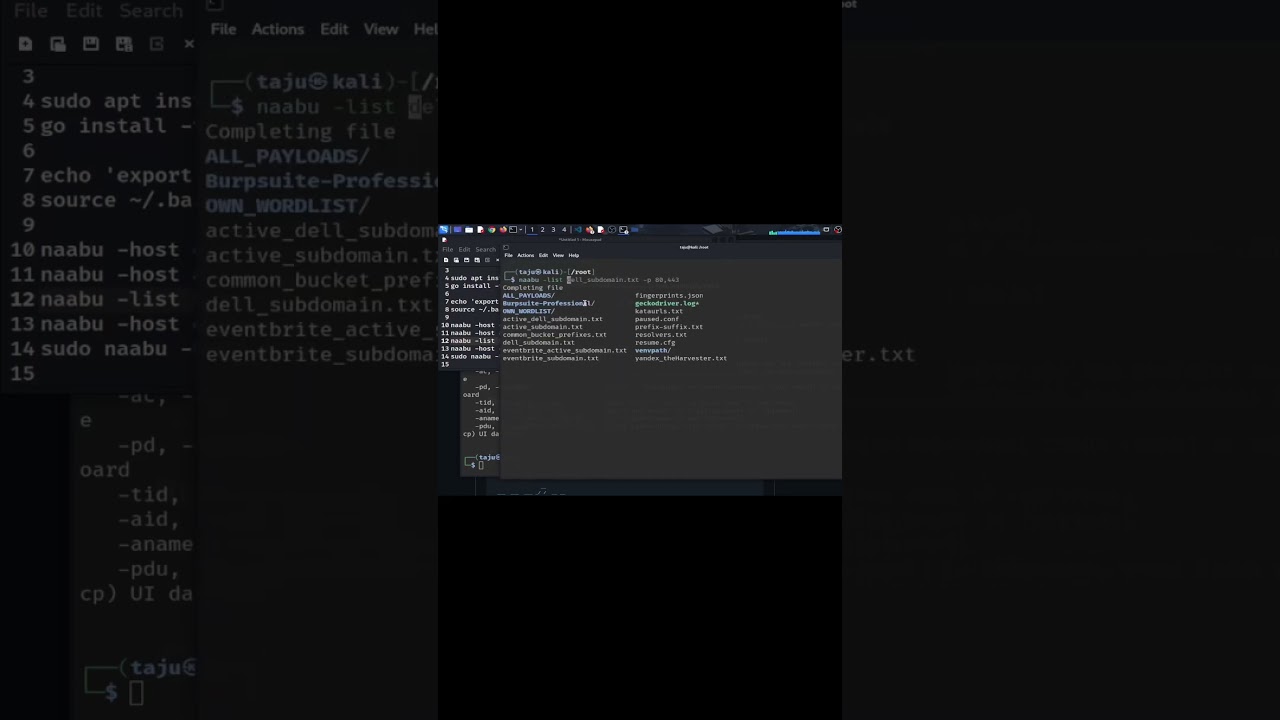 How to Install, Use & Uninstall Naabu in Kali Linux Fast Port Scanner part 4