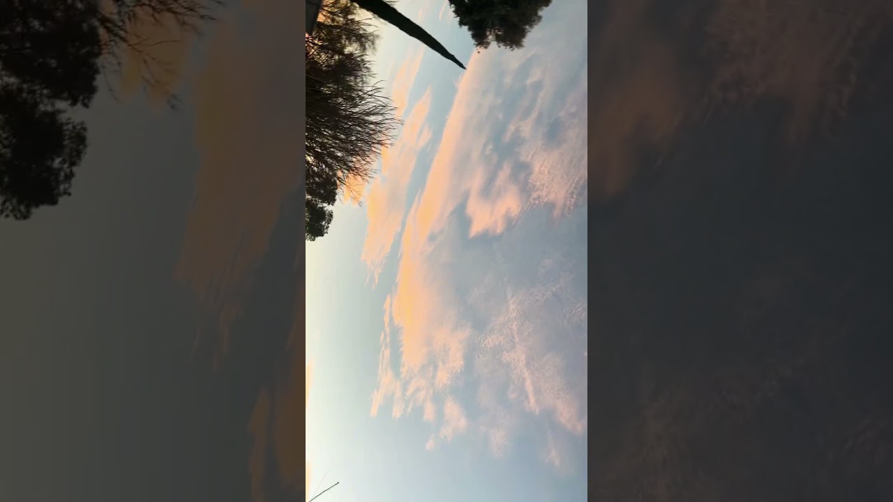 I double dog dare y’all to throw your phone up in the sky