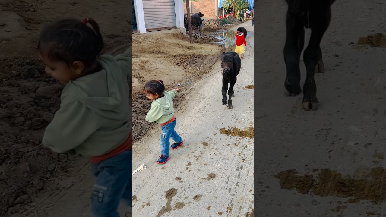 Do chhote bachho ka kamal