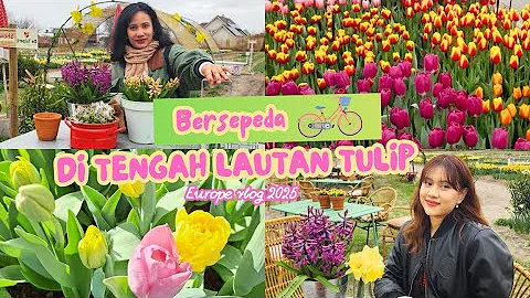 ??PERTAMA KALI Bersepeda di TULIP FIELD LISSE! ???? Gak Masuk KEUKENHOF Tapi Dapat HIDDEN GEM!??