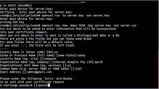 How To Create a Self-Signed SSL Certificate for Apache