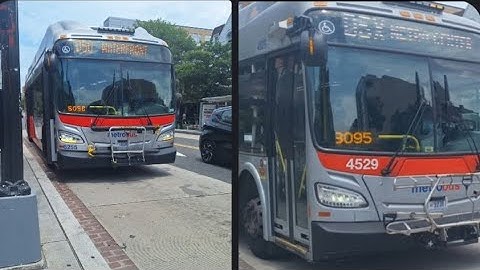 WMATA Metrobus 2019 New Flyer XN40 3255 On Route D50 & 2021 New Flyer XD40 4529 On Route D5X 