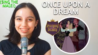 Once Upon A Dream (Aurora's Part Only - Karaoke) - Sleeping Beauty