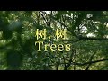 SHANGHAI | « Trees », jusqu’au 10 octobre 2021