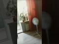 А вы до какого числа учитесь? #каникулы #учеба #лето #shorts #скоролето