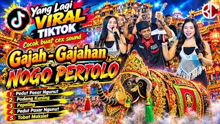 YANG LAGI VIRAL TIKTOK COCOK BUAT CEX SOUND..‼️KUMPULAN LAGU GAJAH - GAJAHAN NOGO PERTOLO TERBARU