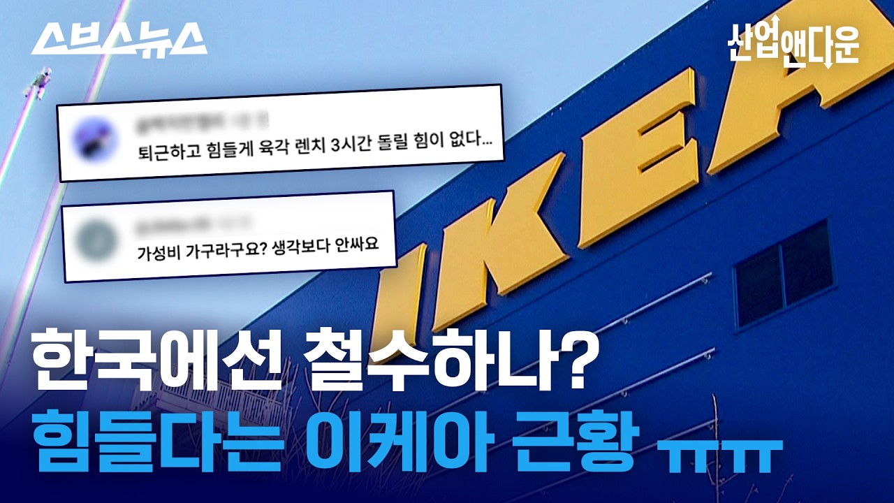 솔직히 이케아 미트볼 먹으러 감 / 스브스뉴스