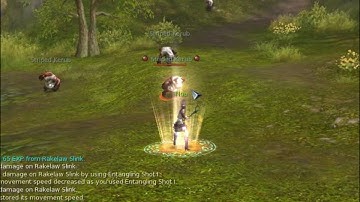 Aion Autoattack Weaving