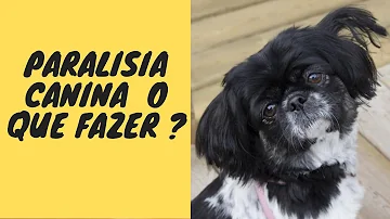 O que é paresia posterior?