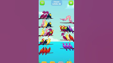 BIRD SORT COLOUR -  LEVEL36 I Shorts