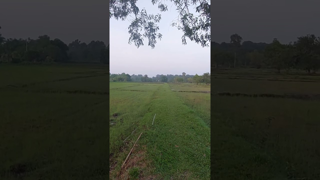 Interesting Isaan Facts - Thailand 🇹🇭