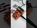 Analog Music Co Evil Pumpkin Ghazala Mk 2 Pedal Loops 29 Bossds1 Evilpumpkin