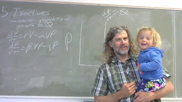 6 - Isoclines -- how to find positive and negative growth rates in a two-species system: part I