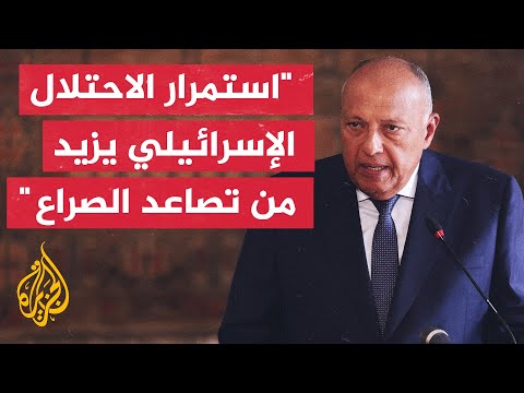 سامح شكري: لدى مصر رؤية مشتركة مع تركيا بضرورة احتواء الموقف في غزة