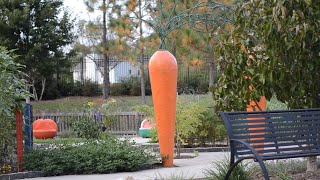 Emotional Love Theme |  Peaceful Short Music, Relaxing Music screenshot 3